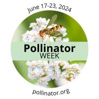 Pollinator_Week_Logo_2024_English_2024-01-23-202919_bvek - Copy